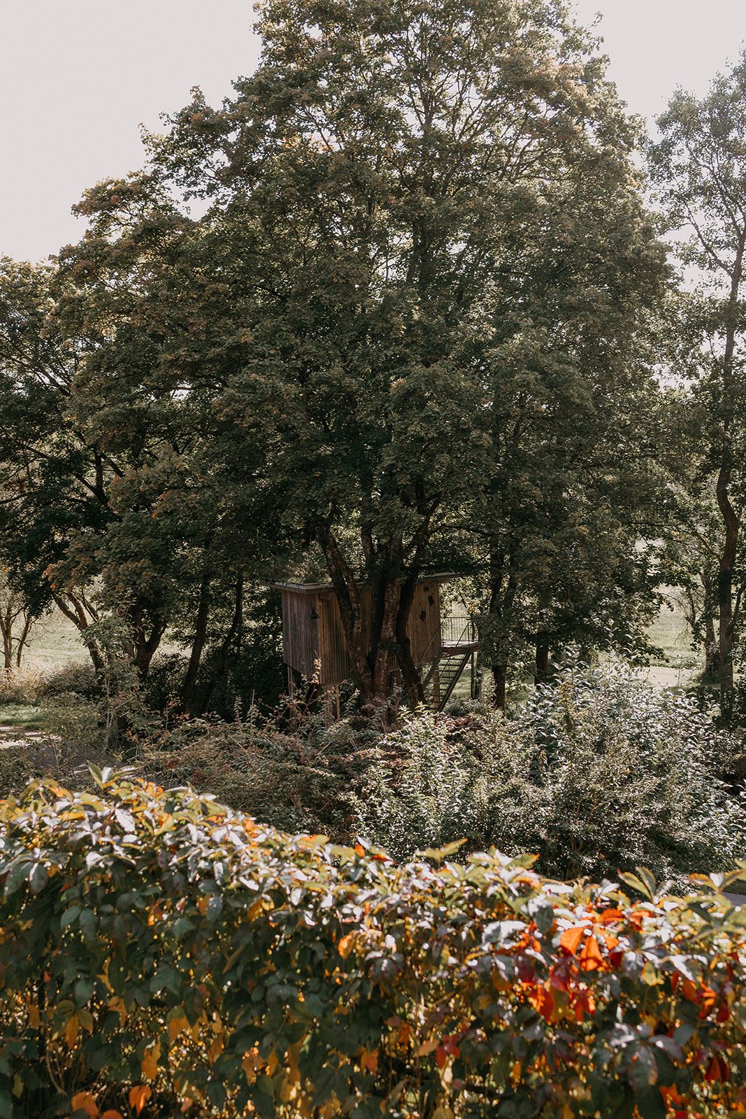 Charming rustic wooden shed nestled beneath a large tree surrounded by colorful autumn foliage in a garden. Baumhaus Gut Dietersberg