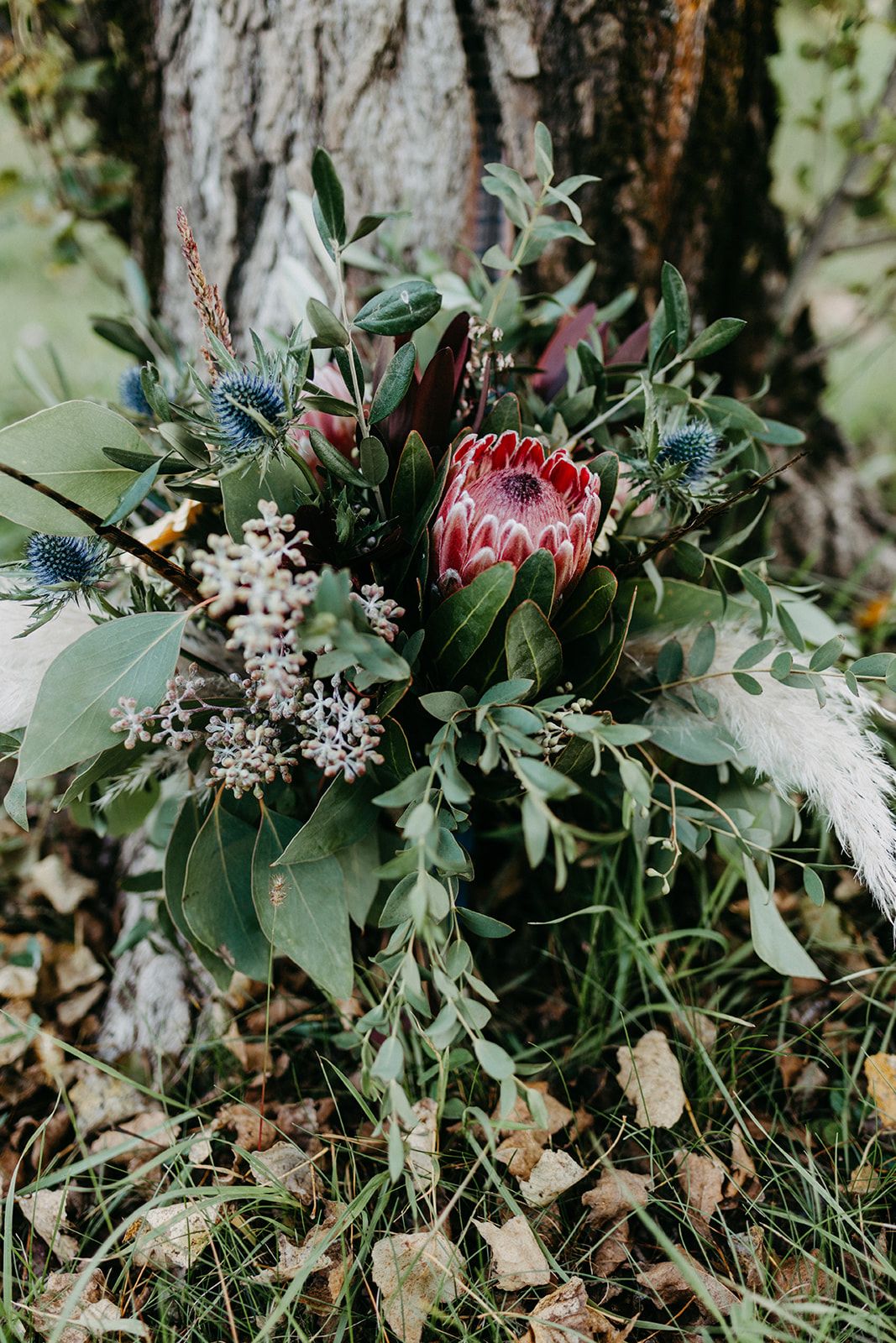 Rustic wedding bouquet featuring a pink protea, blue thistle, and lush greenery resting against a tree trunk.