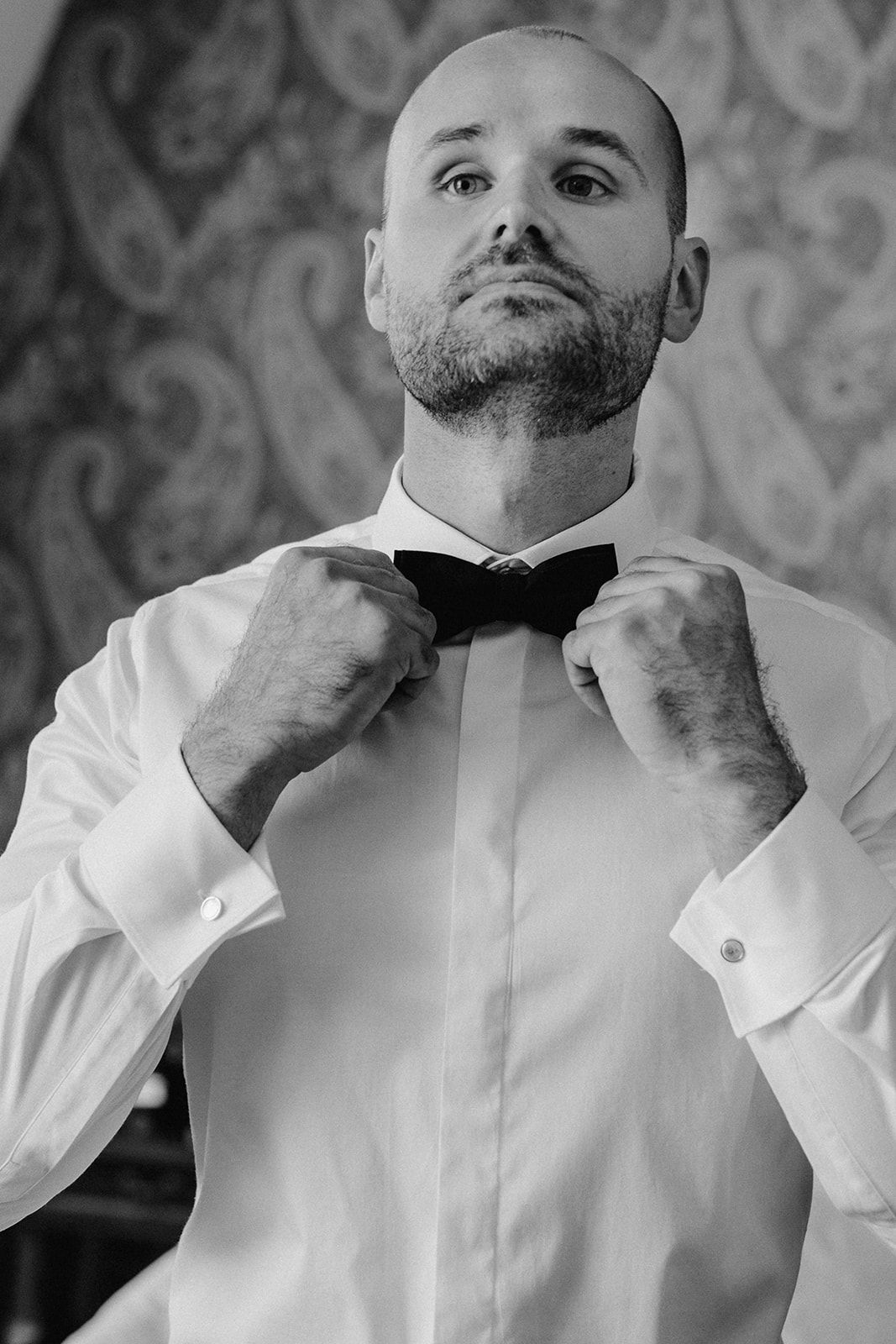 Bald groom in white dress shirt adjusting black bow tie in an elegant black and white portrait.