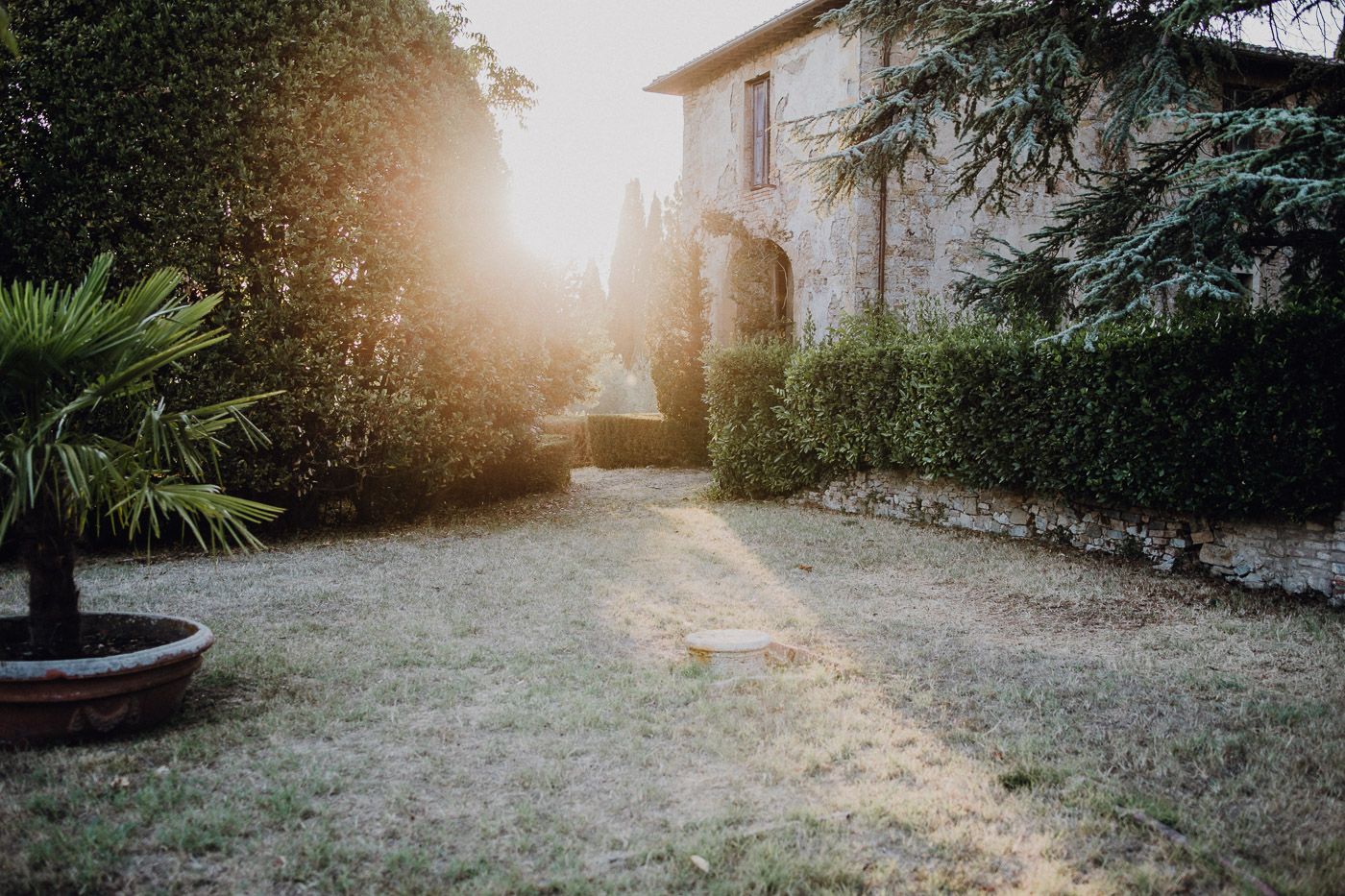 Sunlit garden path leading to a stone villa surrounded by lush green hedges and palm trees. Tuscany Villa Catignano