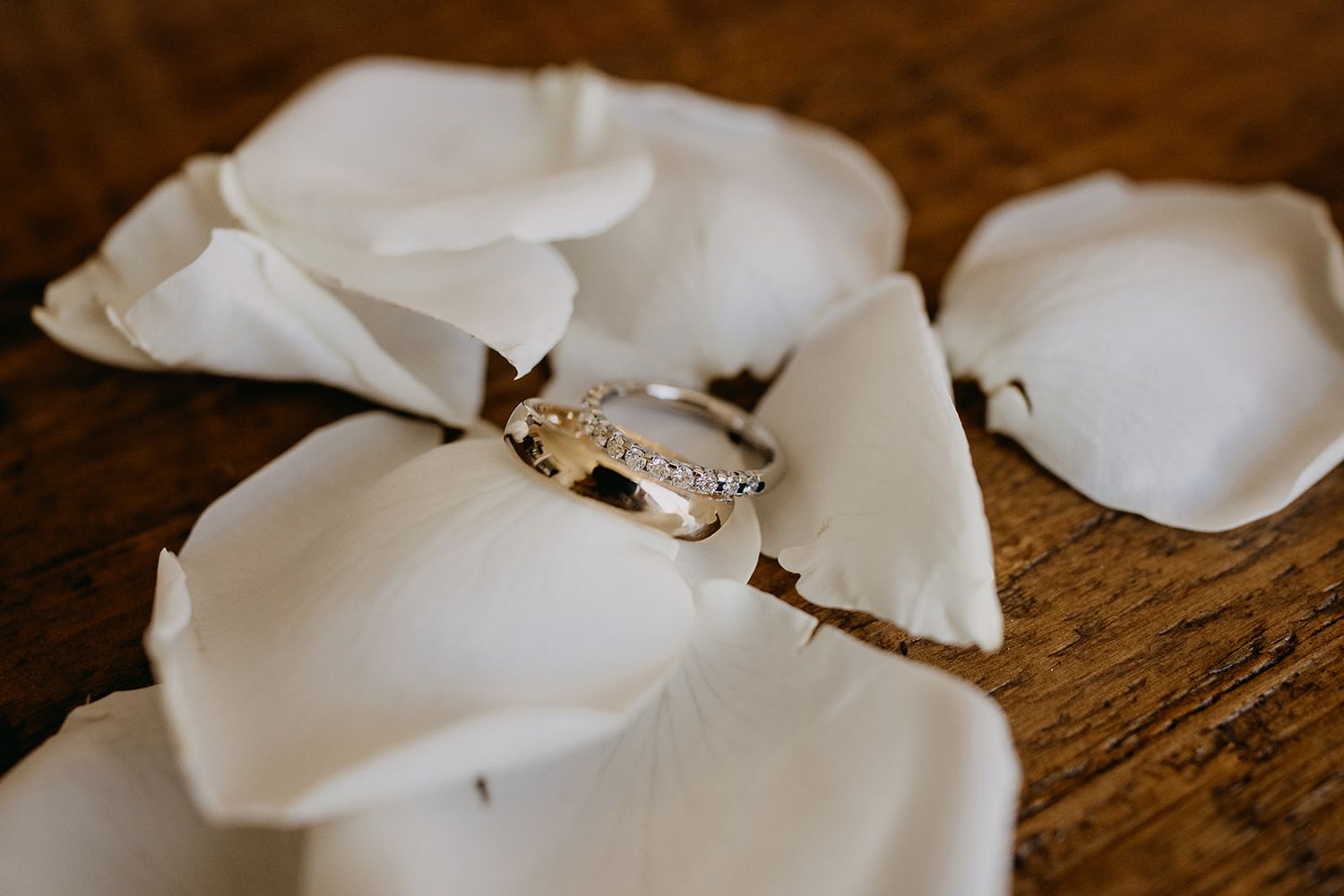 Two gold wedding rings with diamonds rest delicately on white rose petals on a wooden surface.