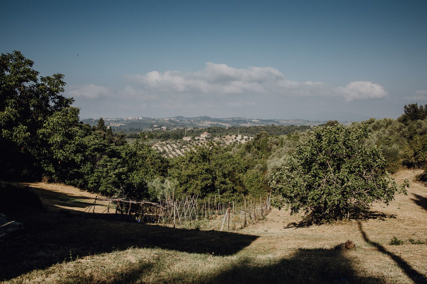 Scenic Tuscan countryside landscape with rolling hills, olive trees, and a clear blue sky. Tuscany Villa Catignano