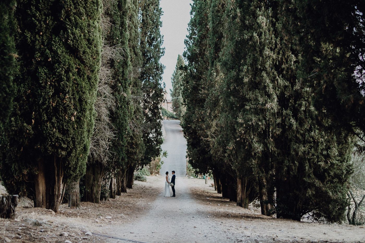 Bride and groom walking hand in hand along a tree-lined cypress avenue at sunset. Tuscany Villa Catignano