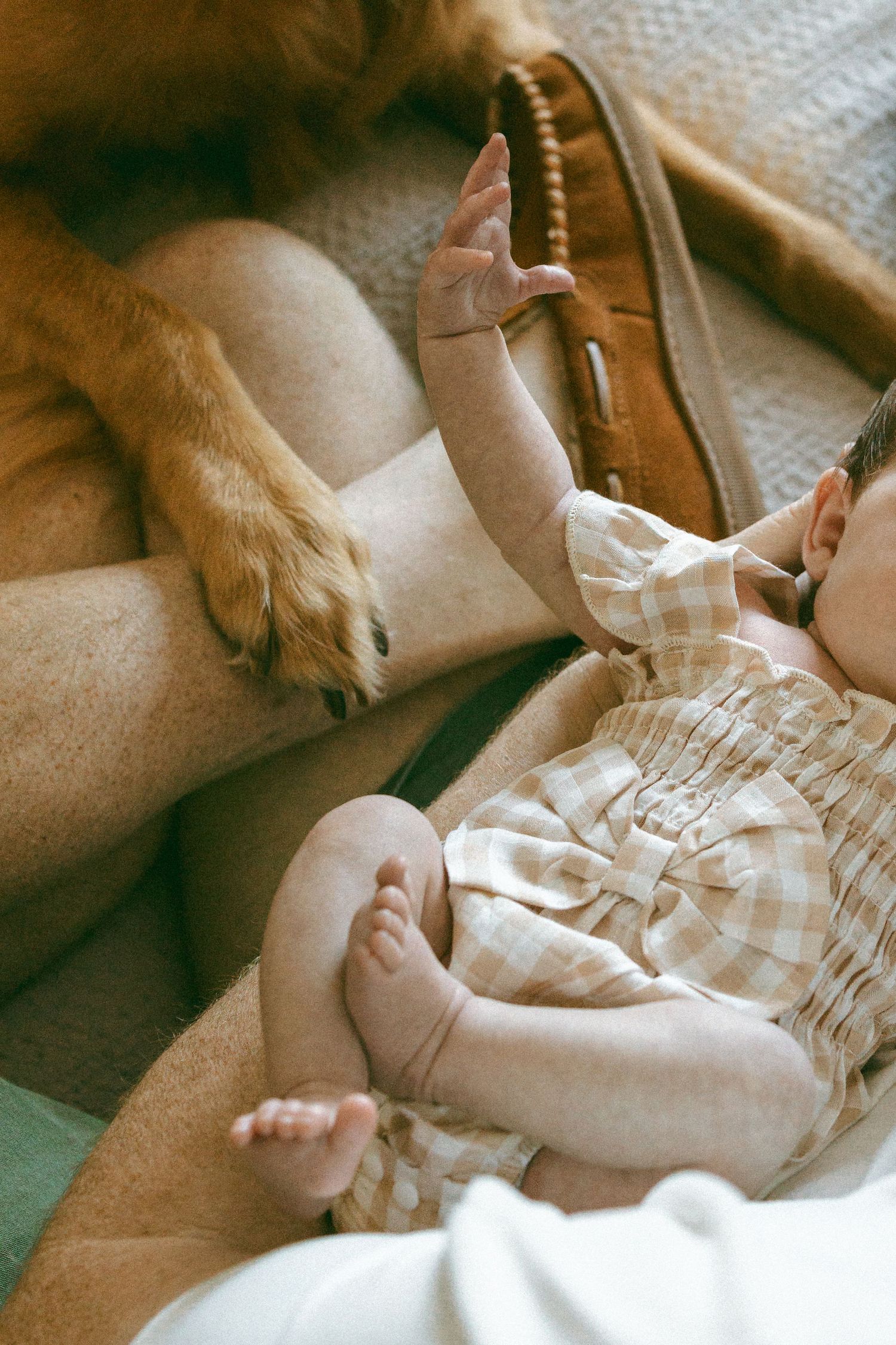 newborn baby and dog paw