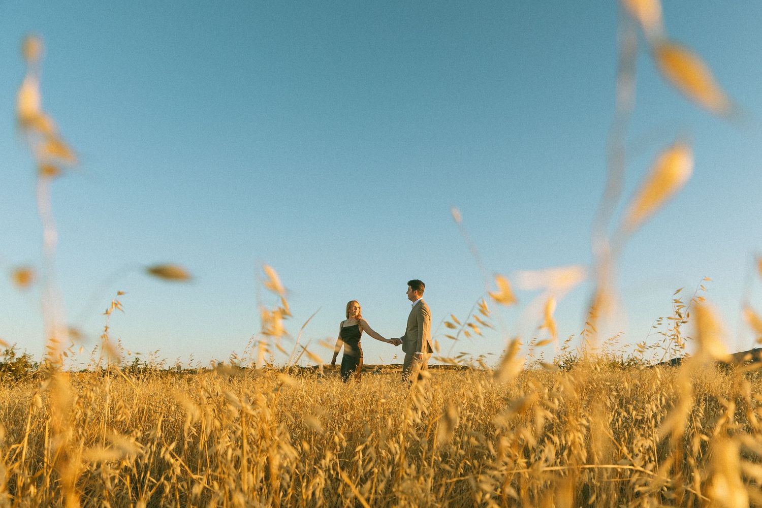 couple wandering through a field