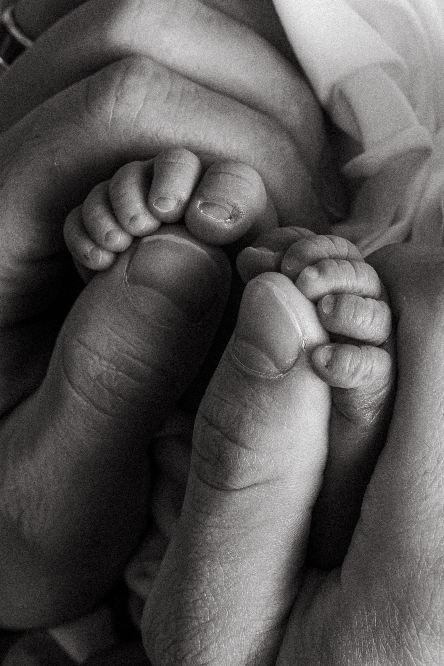 newborn toes being cradled by dad's hands during a newborn session