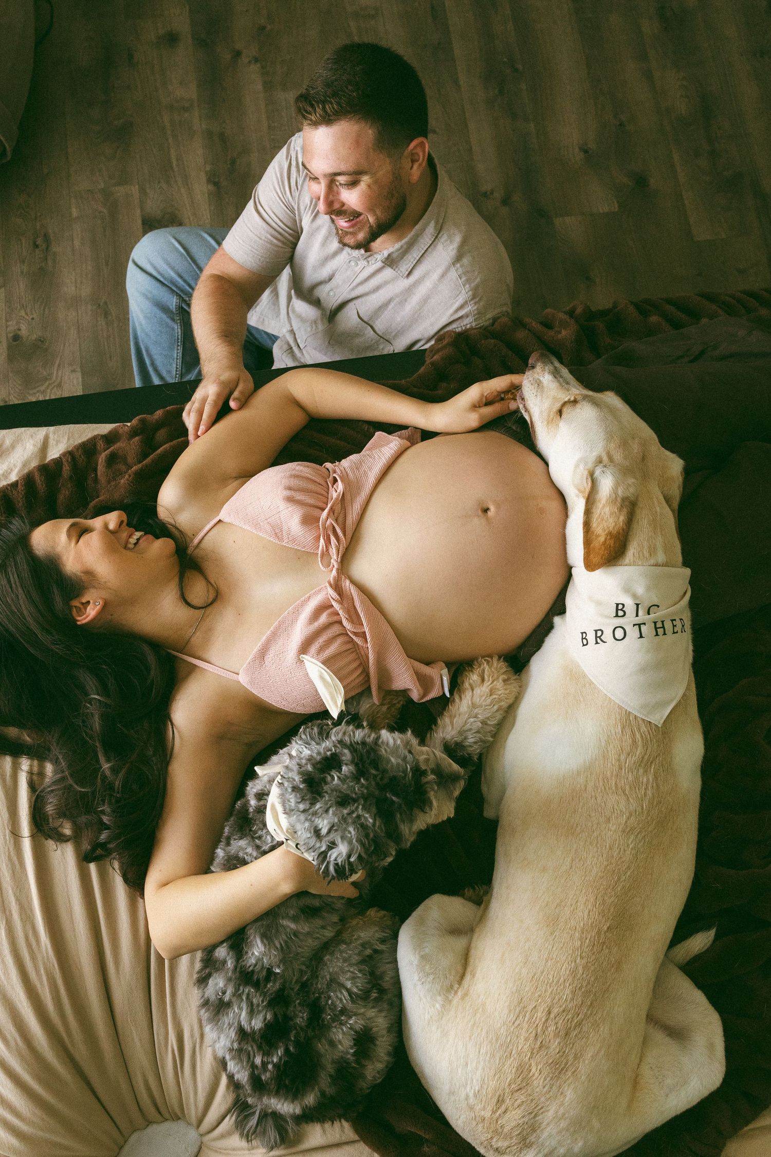 pregnancy photo with two dogs embracing bump