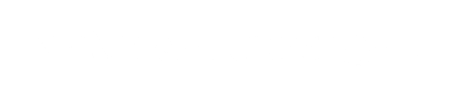 If this is just decorative branding artwork and “New Captures” is already written as real text elsewhere, leave the alt blank.