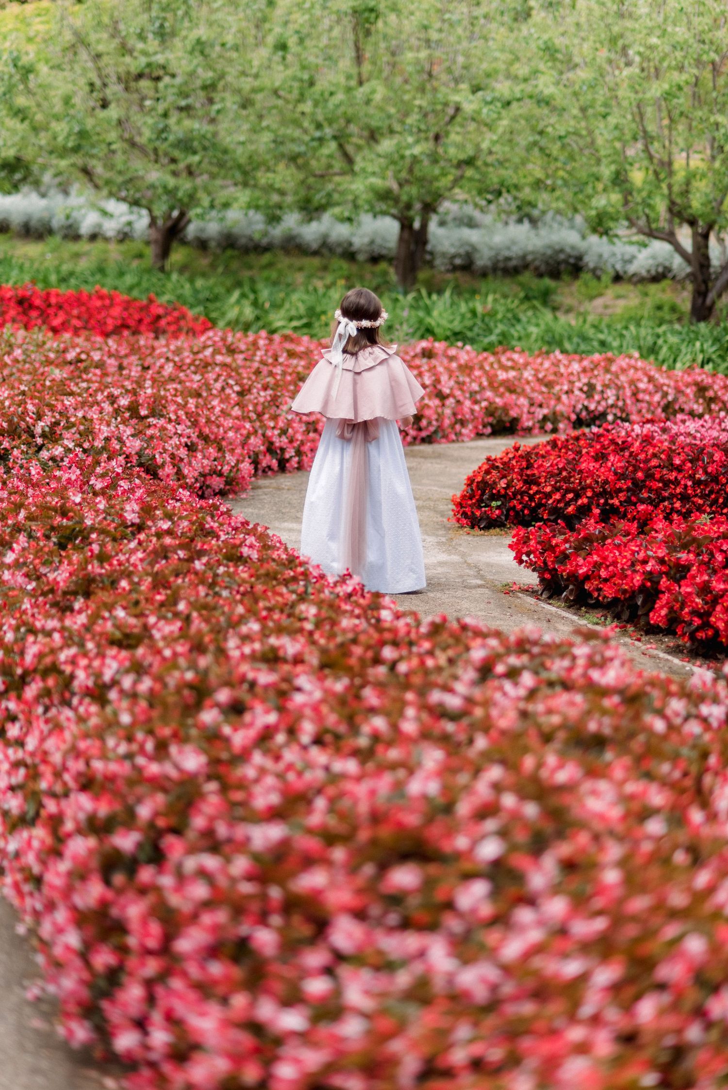 A girl in a white dress with a pink cape walks along a garden path lined with vibrant red flowers.