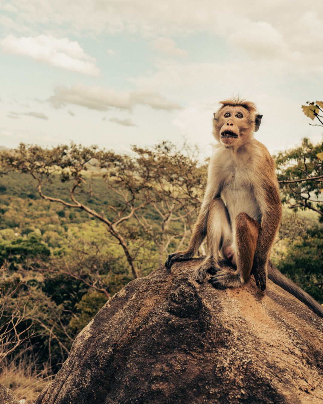 Travel Photography | Sri Lanka