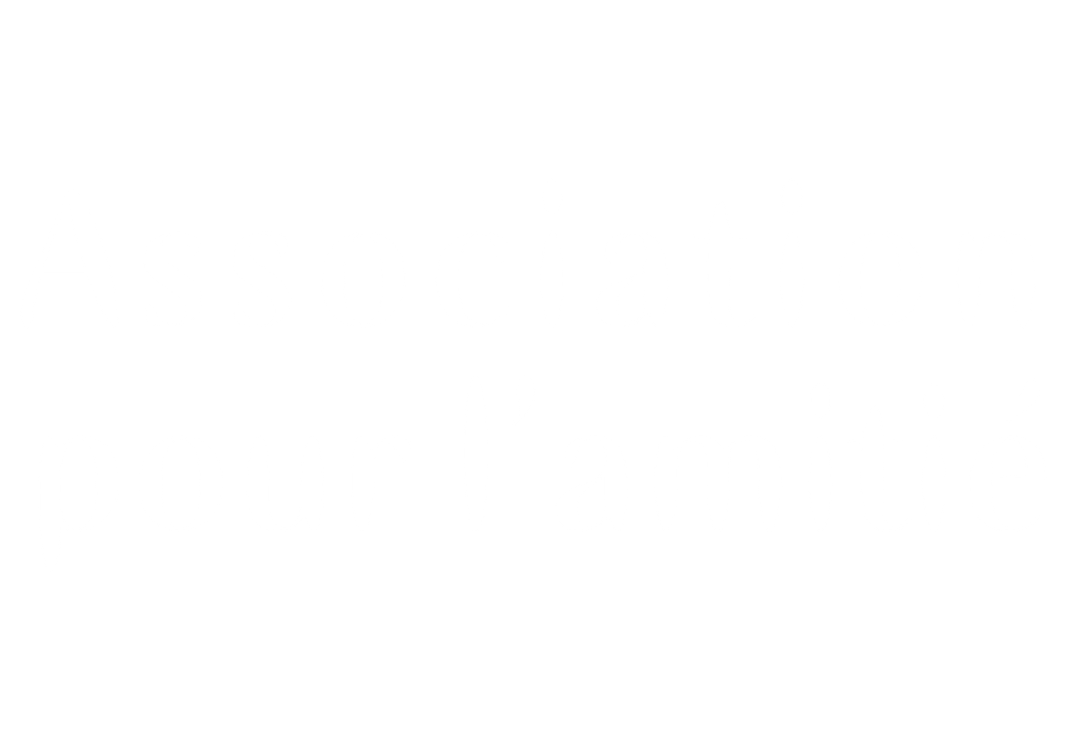 Simple horizontal line design element in black.