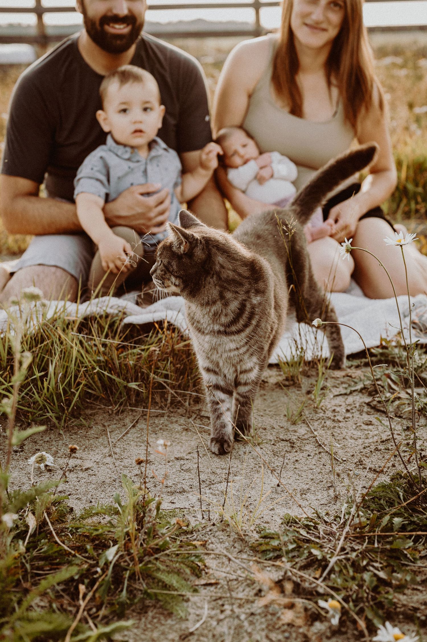 Une famille est assise en plein air avec leur chat et leurs enfants pendant un coucher de soleil doré.