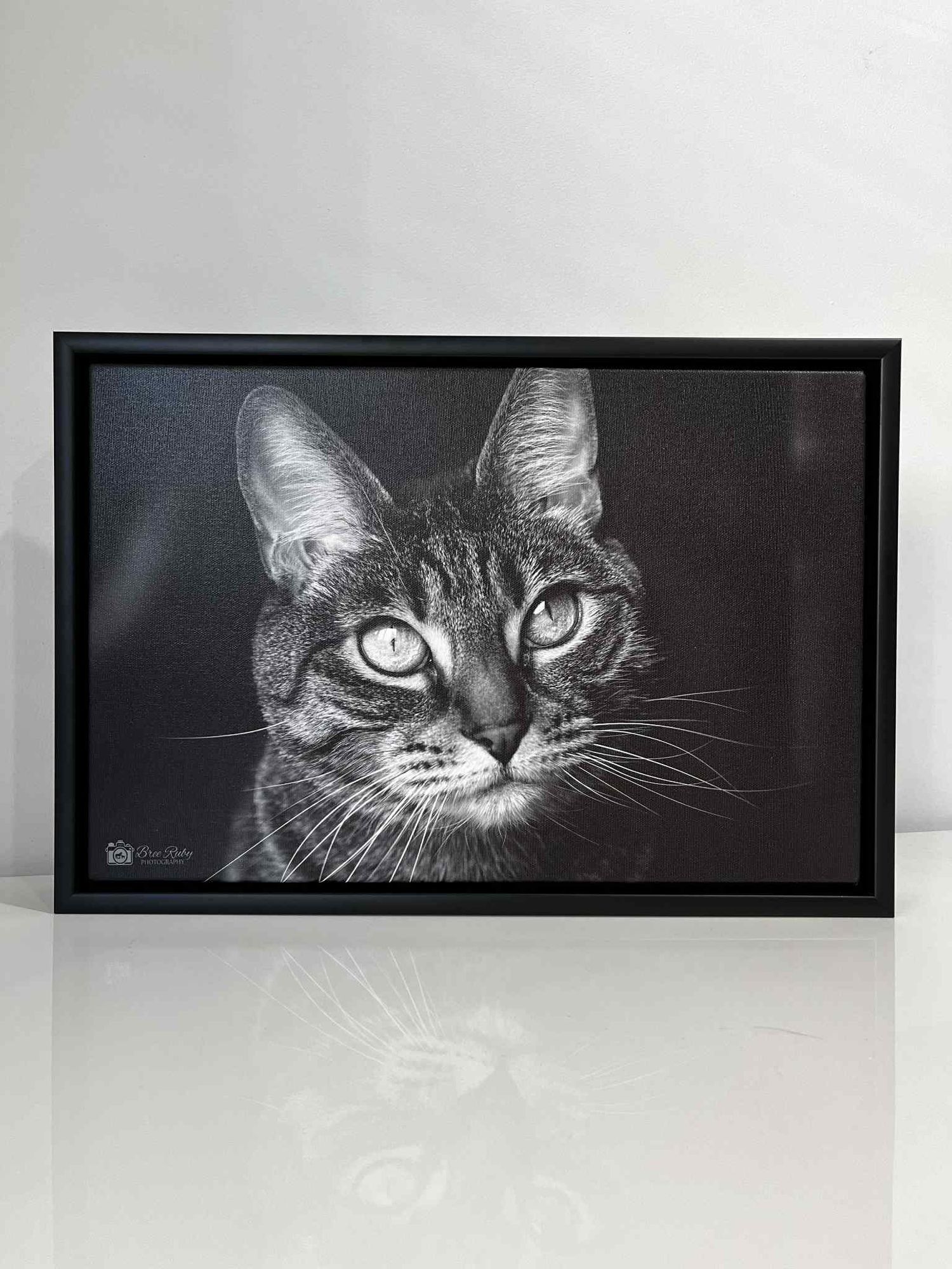 Cat Wall Art Framed Canvas