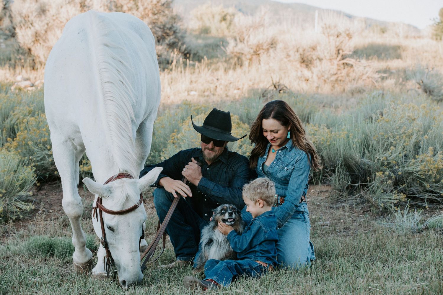 A family sits together with their dogs beside a grazing white horse in a sunny meadow.