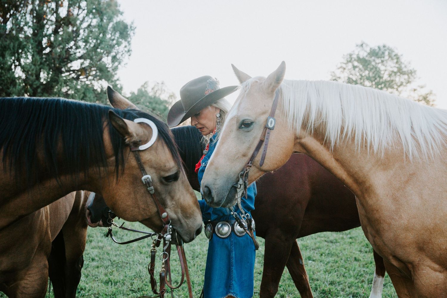 Two horses nuzzling during a western lifestyle session in Taos, New Mexico on a sunny day
