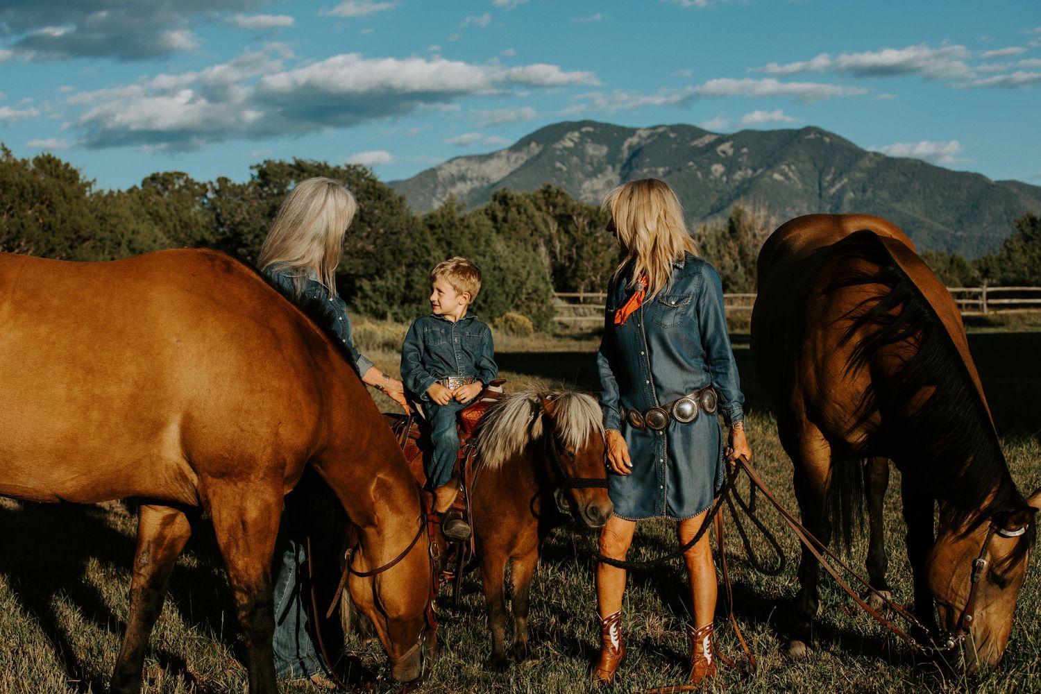 Two horses graze in a pasture with mountains and blue skies in the background during golden hour.