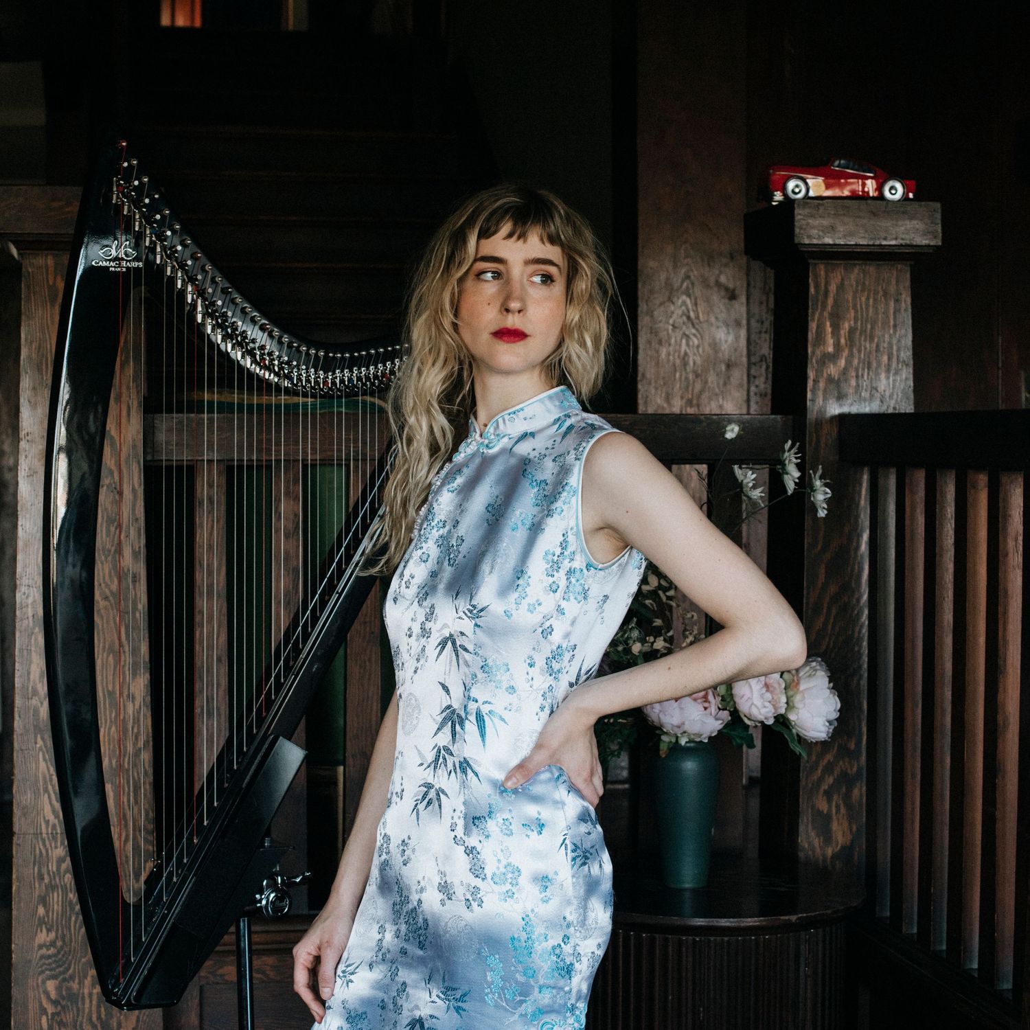 Elegant blue and white patterned dress photographed next to ornate harp in dark wood interior.