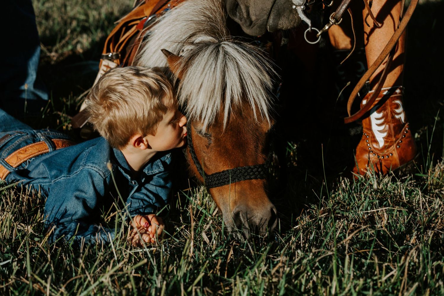 Horses grazing in tall grass during golden hour with riders visible in the background.