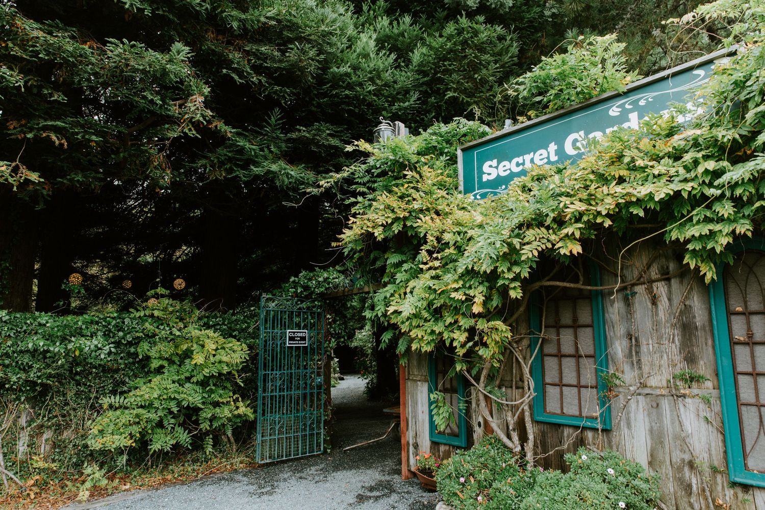 A charming garden entrance with turquoise trim and an ornate metal gate framed by lush greenery.