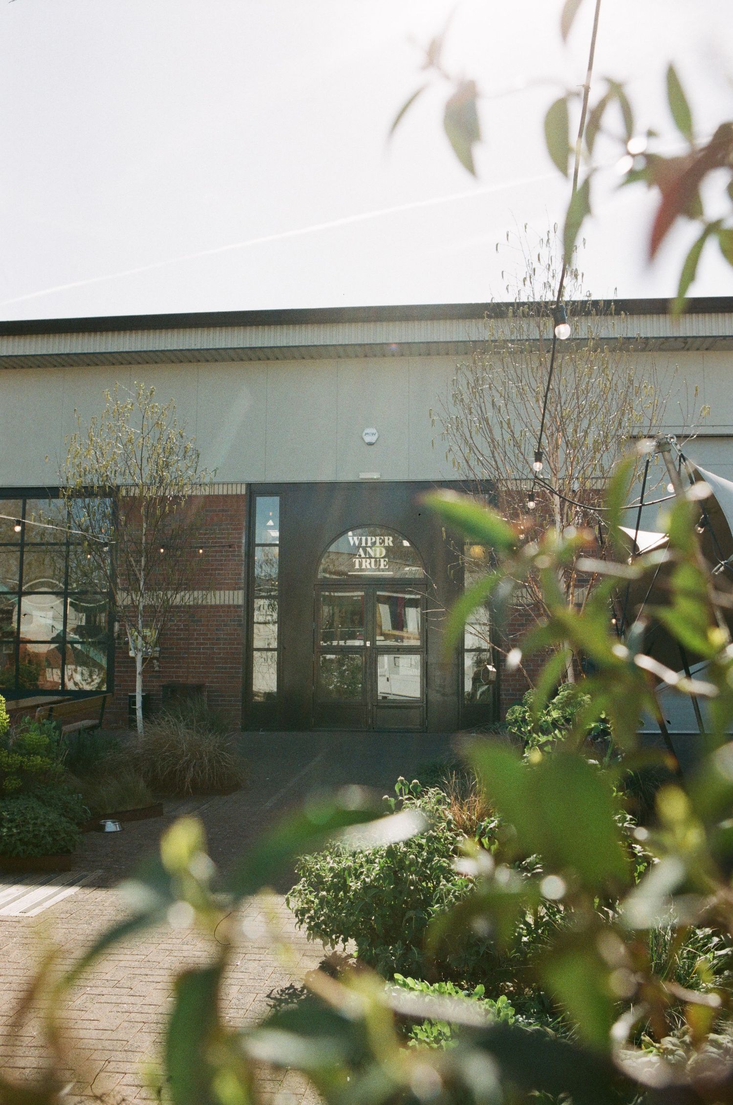 Brick building entrance with arched signage surrounded by lush green trees and shrubs in a sunlit outdoor shopping area.