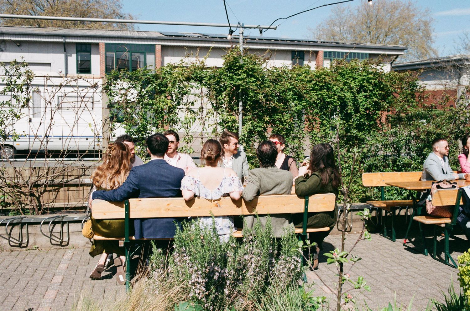 People socializing on wooden benches in a sunny outdoor garden patio surrounded by lush green plants and a white building.