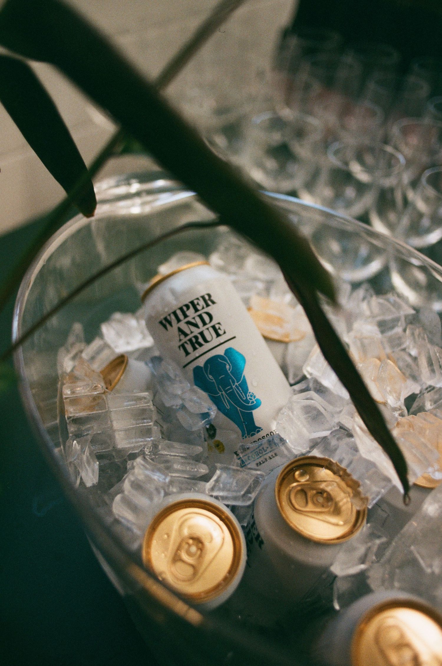 Wiper and True craft beer cans chilling in a bucket of ice alongside glasses at a party event.