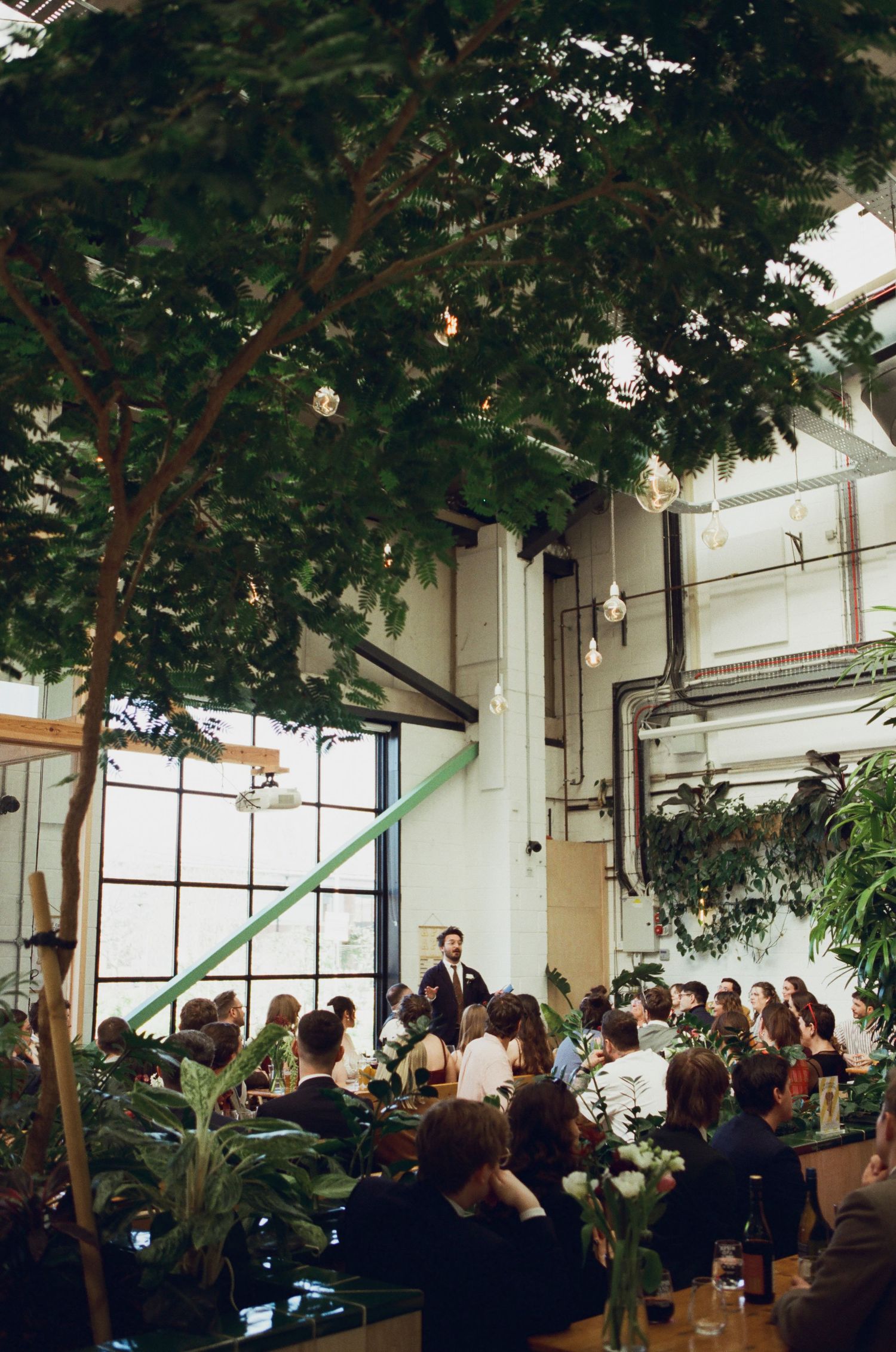 Indoor wedding reception in a lush greenhouse venue with tall trees, Edison bulbs, and guests seated while a man gives a speech.