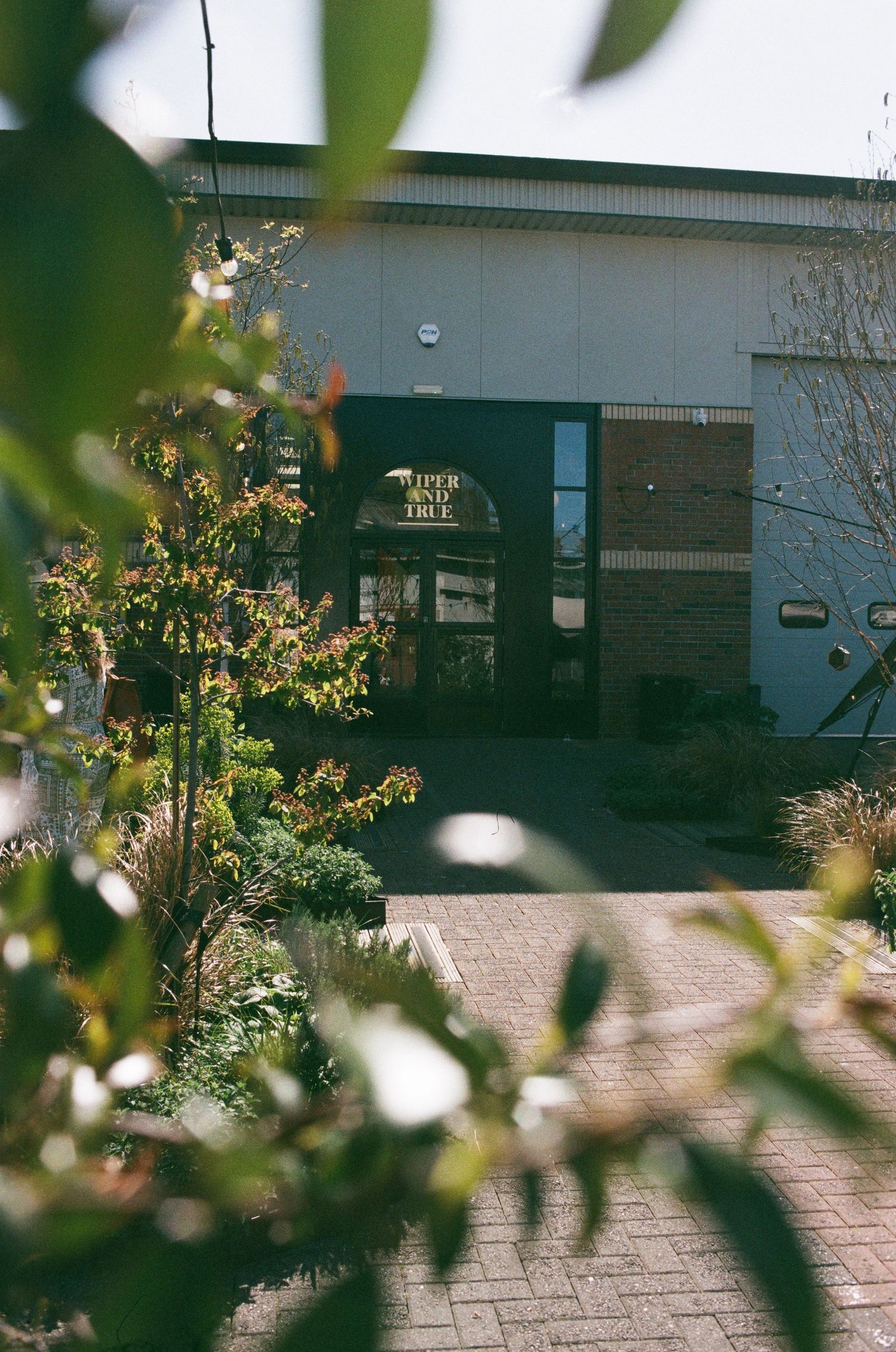 Brick pathway leads to Piper and True storefront entrance surrounded by lush green shrubs and trees.