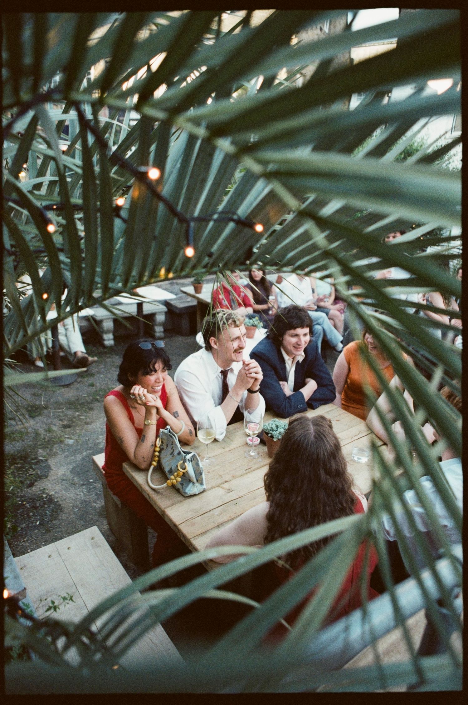 Guests laughing and socializing at an outdoor wedding reception table surrounded by tropical palm leaves and string lights.