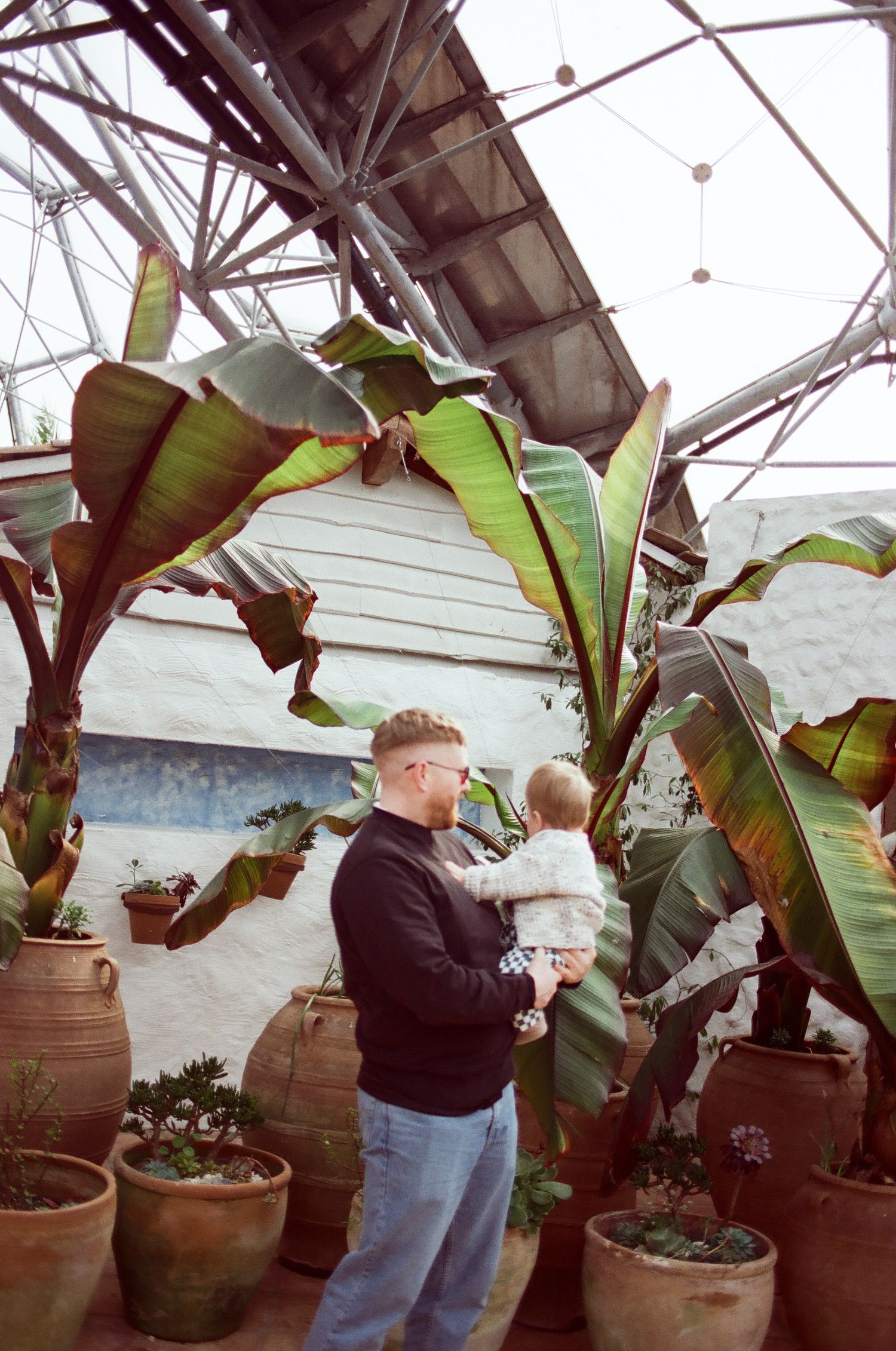 A father holds his toddler while exploring tropical plants inside a greenhouse dome.