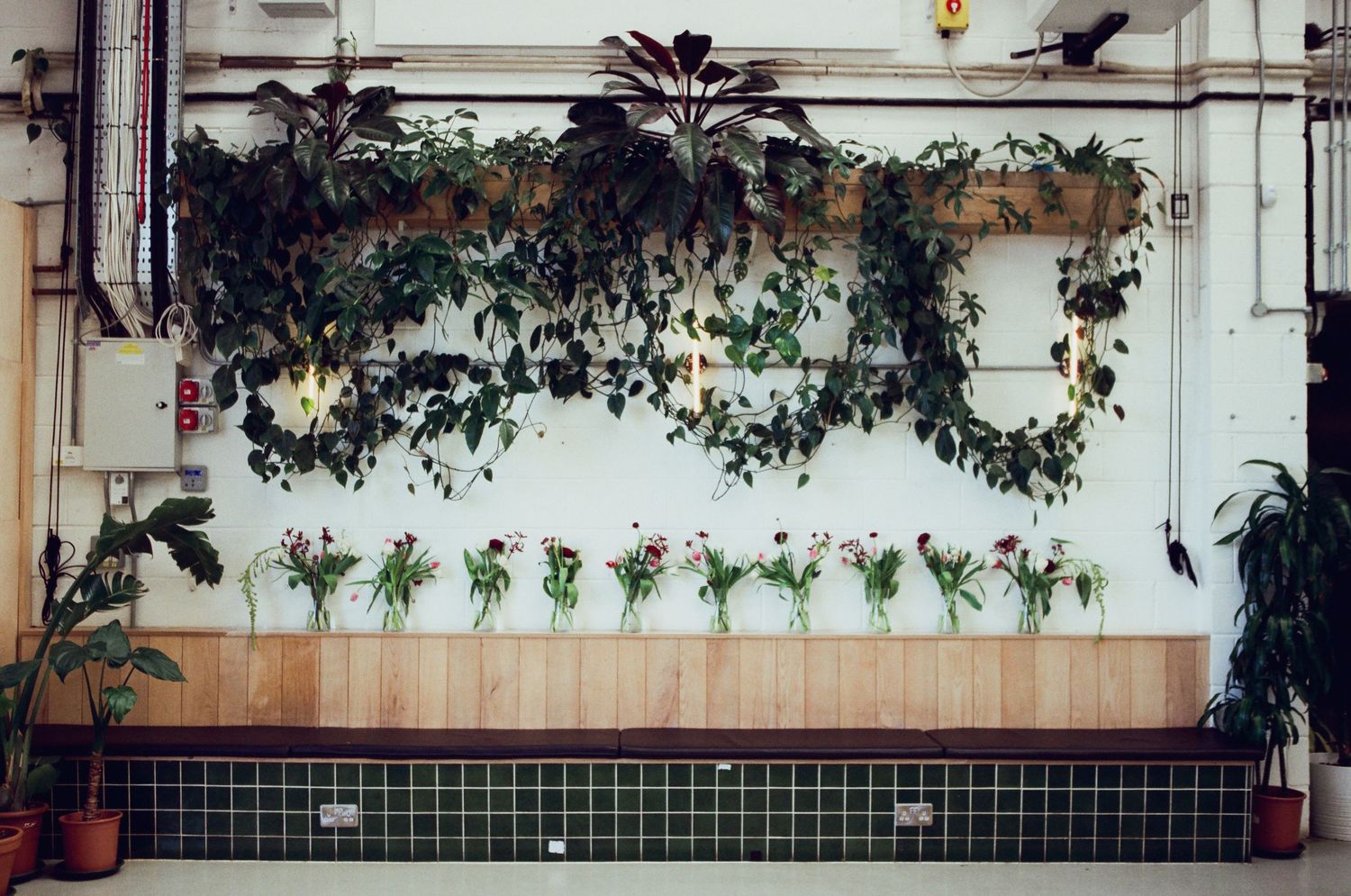 Indoor wall display with lush hanging plants and pink flowers in vases above green tiled bench.