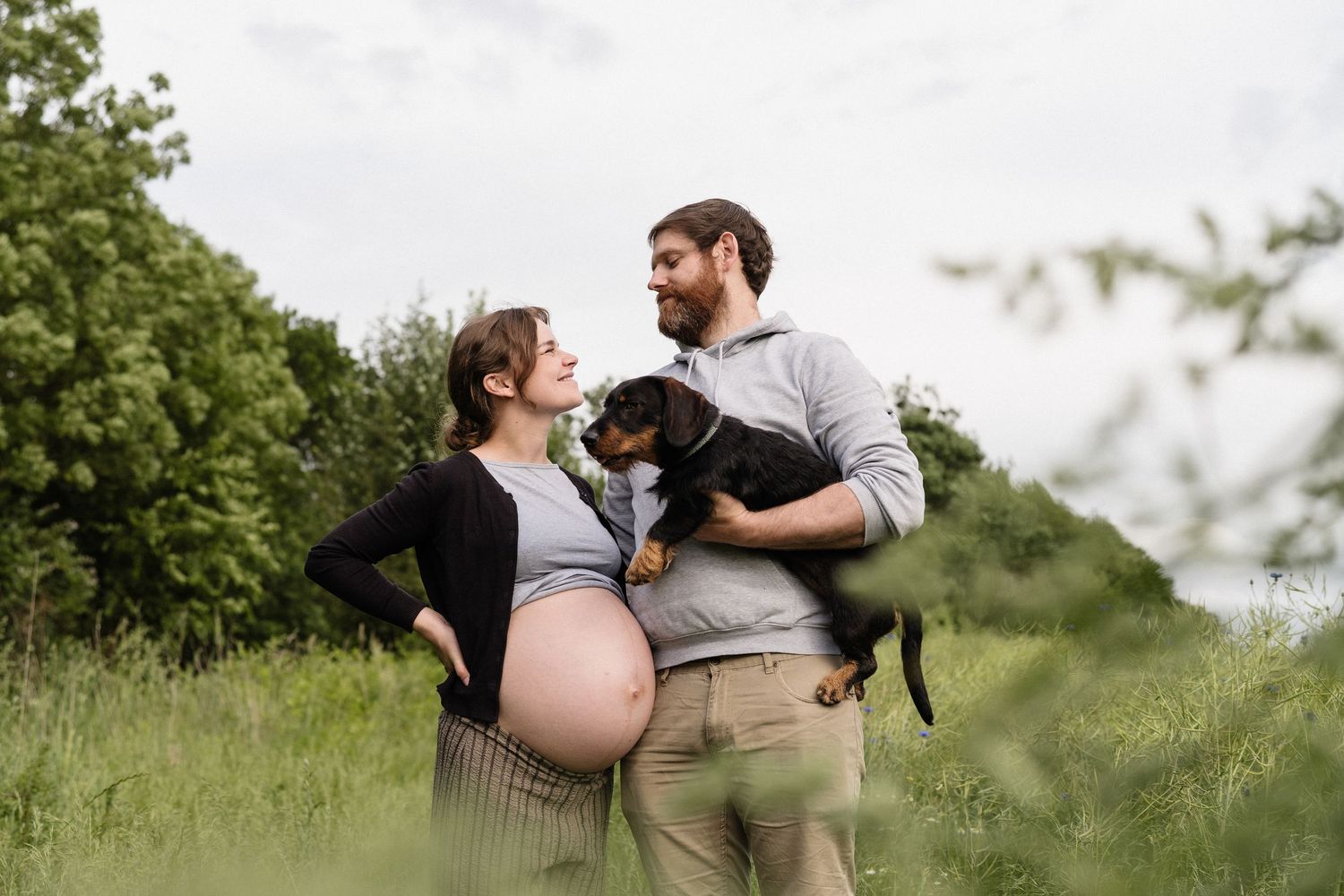 Pregnant woman and bearded man holding a dachshund dog outdoors in green field, maternity couple photo.