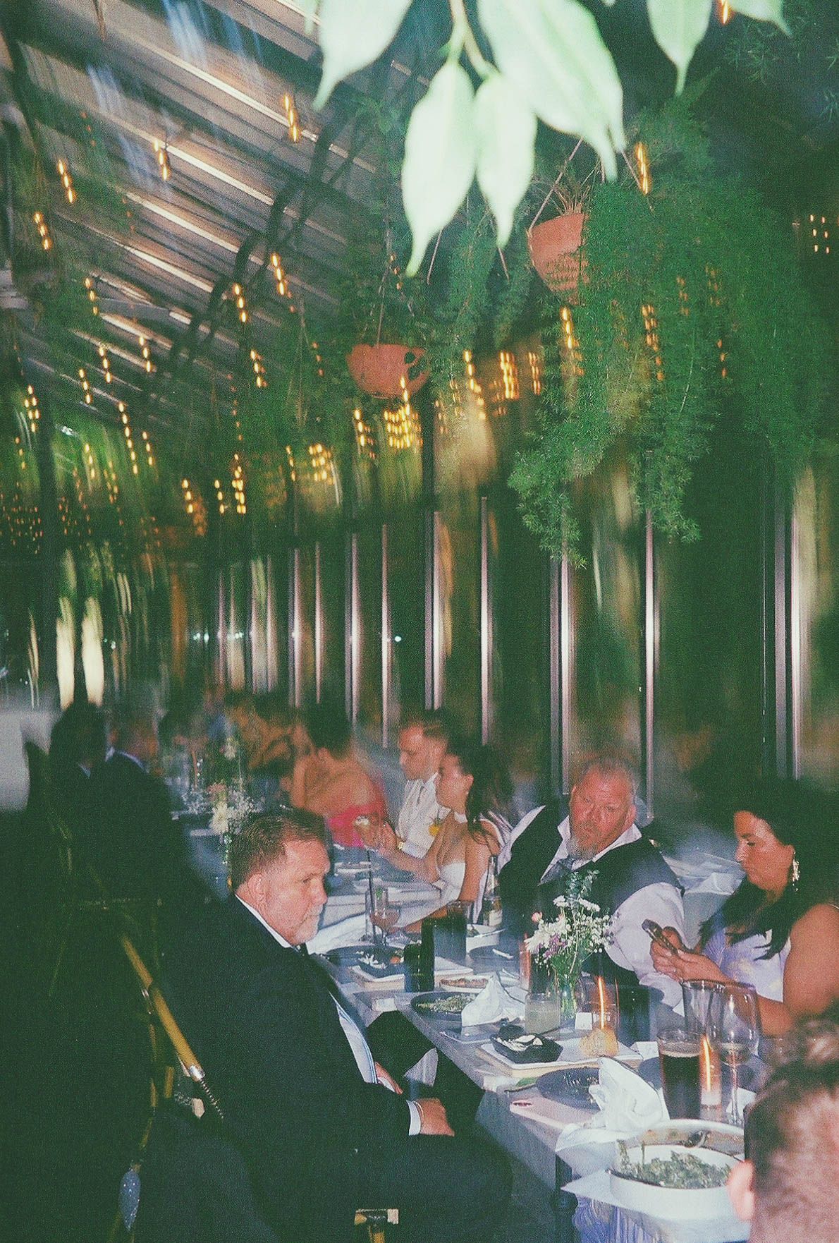 Elegant indoor dinner party with guests seated at a long table surrounded by lush hanging ferns and warm ambient lighting.
