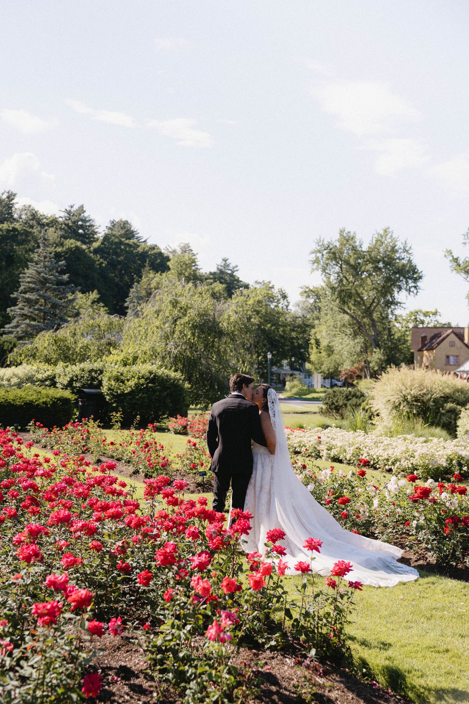 Bride and groom kissing in a lush garden filled with vibrant red roses on a sunny wedding day.