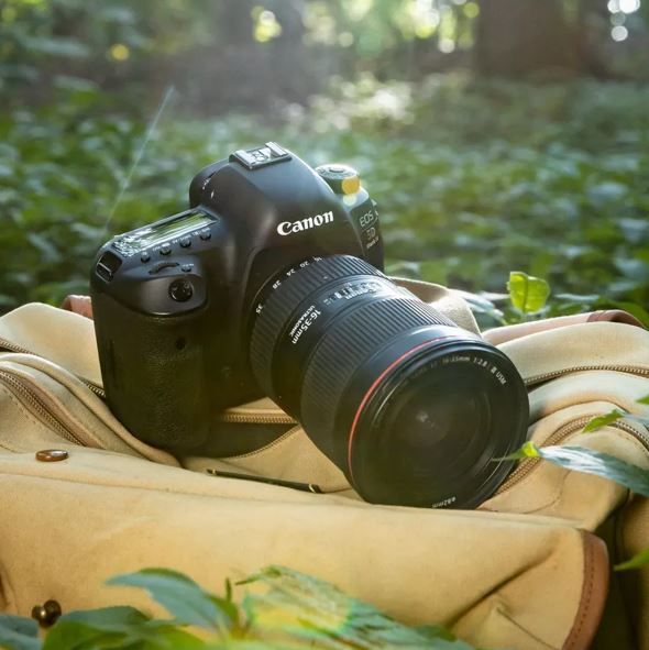 Canon DSLR camera with a zoom lens resting on a tan bag surrounded by green foliage outdoors.