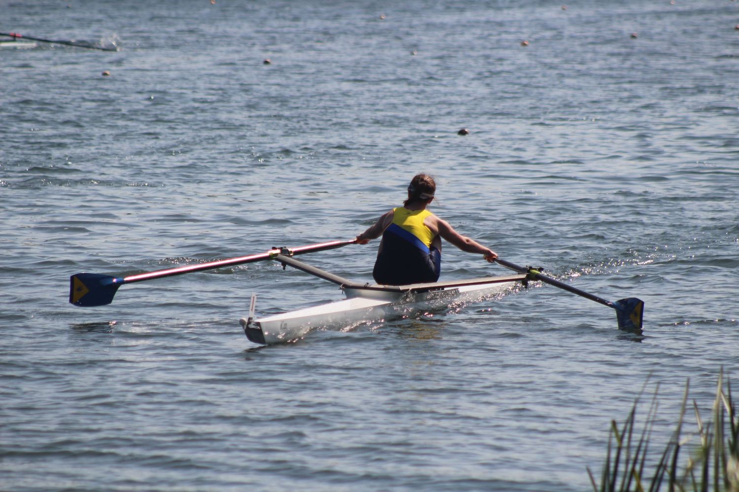 Rowing Photo