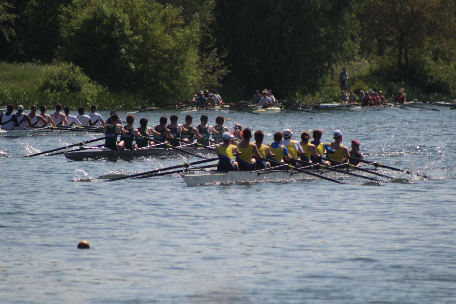 Rowing Boat