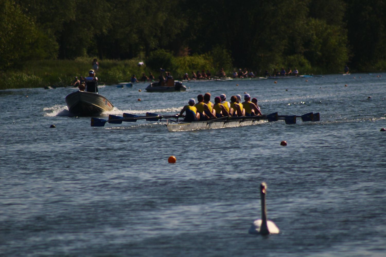 Rowing Boat