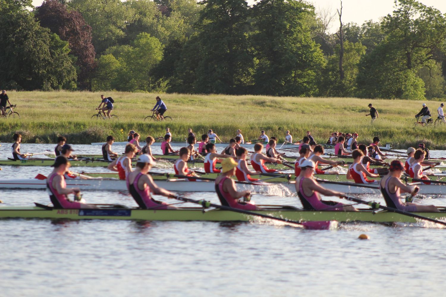 Rowing Photo