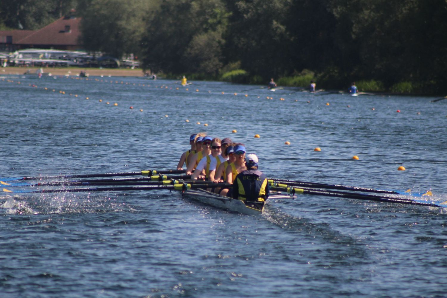 Rowing Photo
