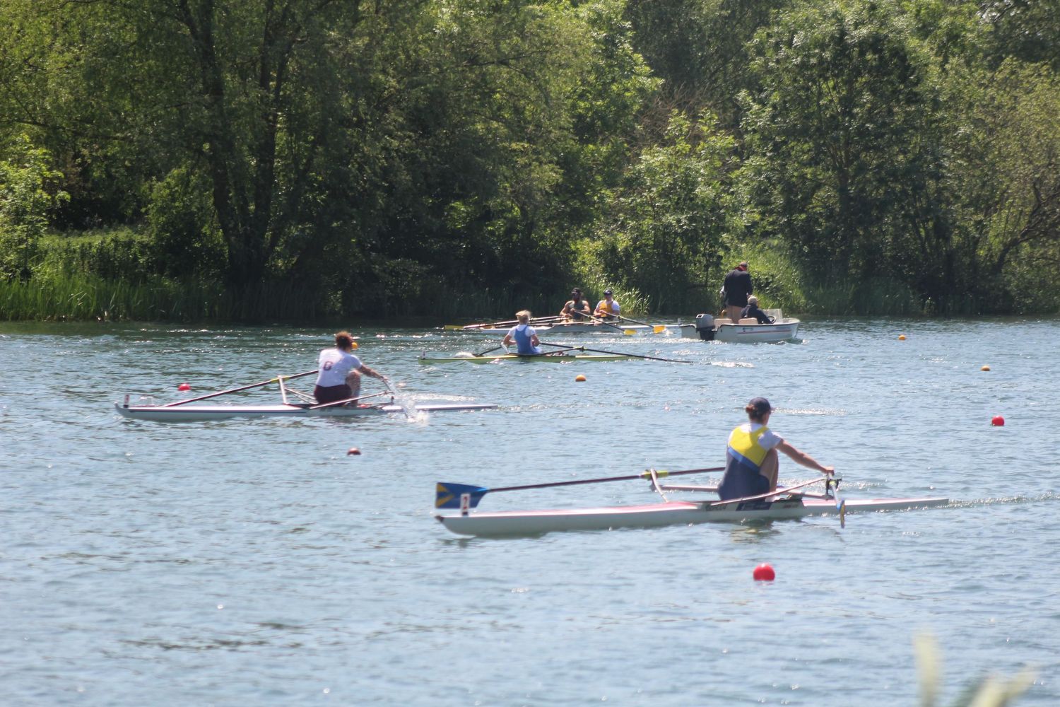 Rowing Photo