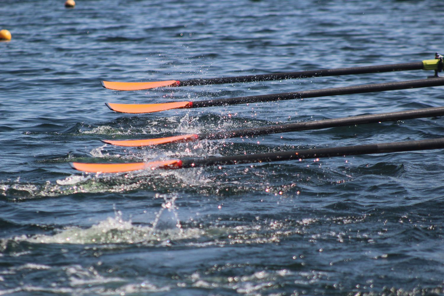 Rowing Boat