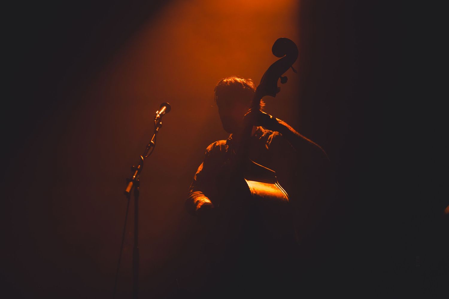Silhouetted musician playing a double bass on stage bathed in warm orange spotlight.