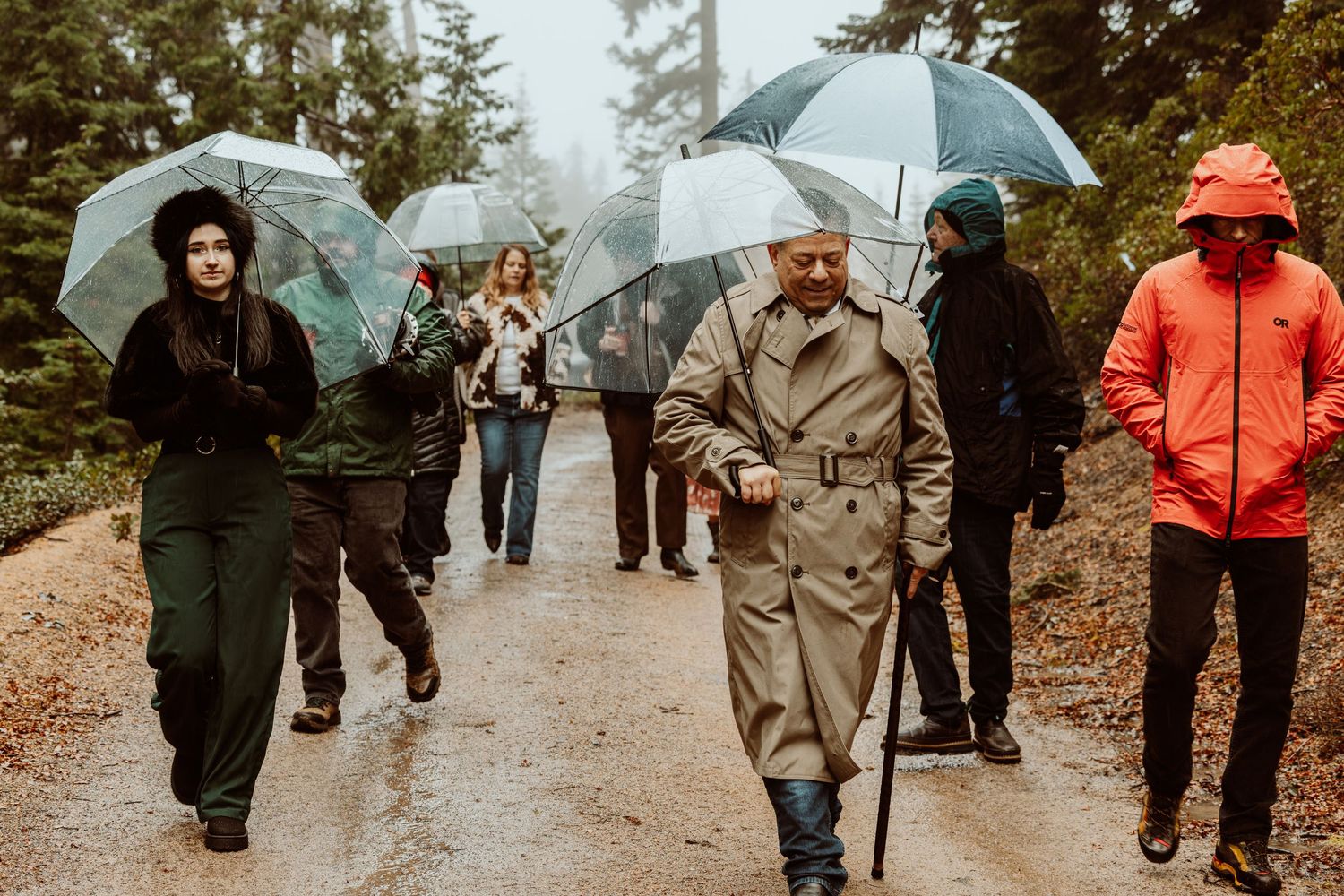 Guests walking down misty forest path with umbrellas during rainy outdoor event.