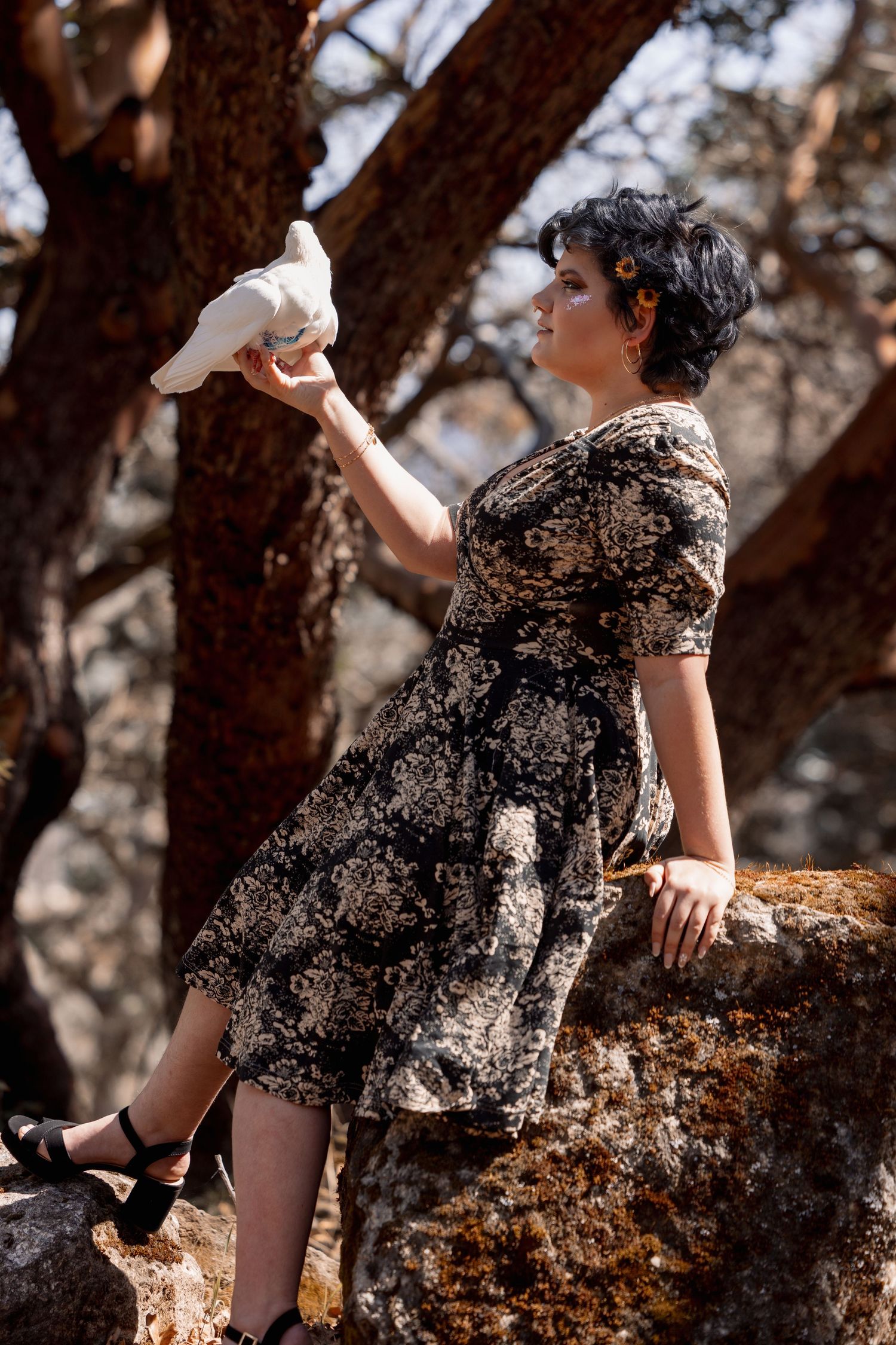 Woman in black and gold floral dress holds a white dove while sitting on a rock among trees in sunlight.