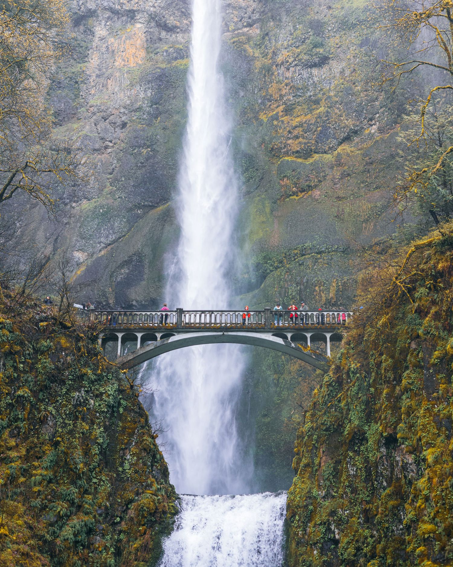 Majestic Multnomah Falls cascades over a scenic stone bridge in Oregon.