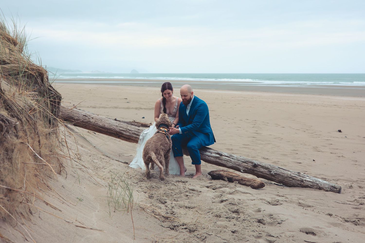 Bride and groom kneel on sand petting a brown dog beside driftwood logs on a cloudy beach.