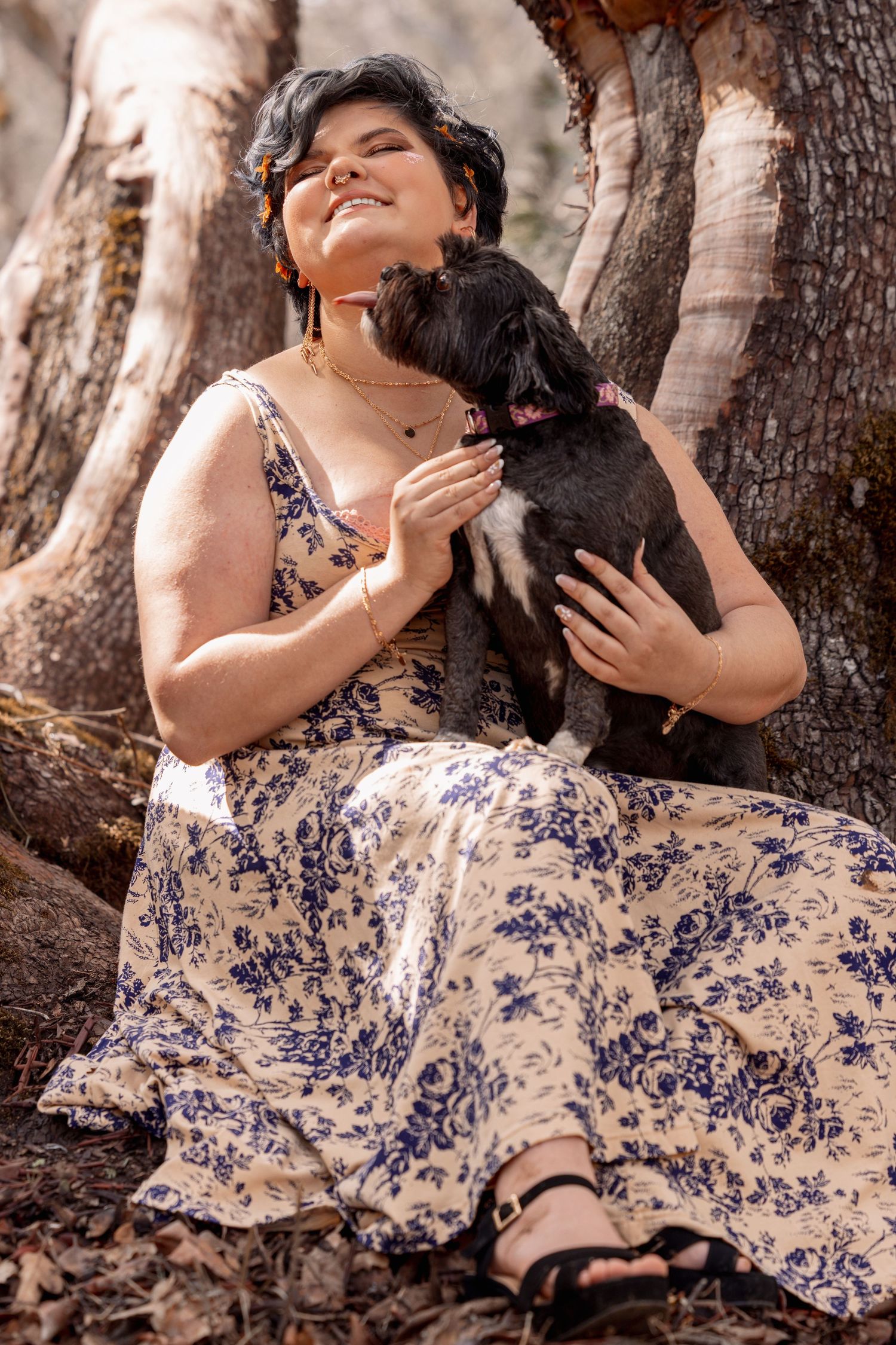Woman in blue floral dress sitting outdoors, being kissed by small black dog near tree.
