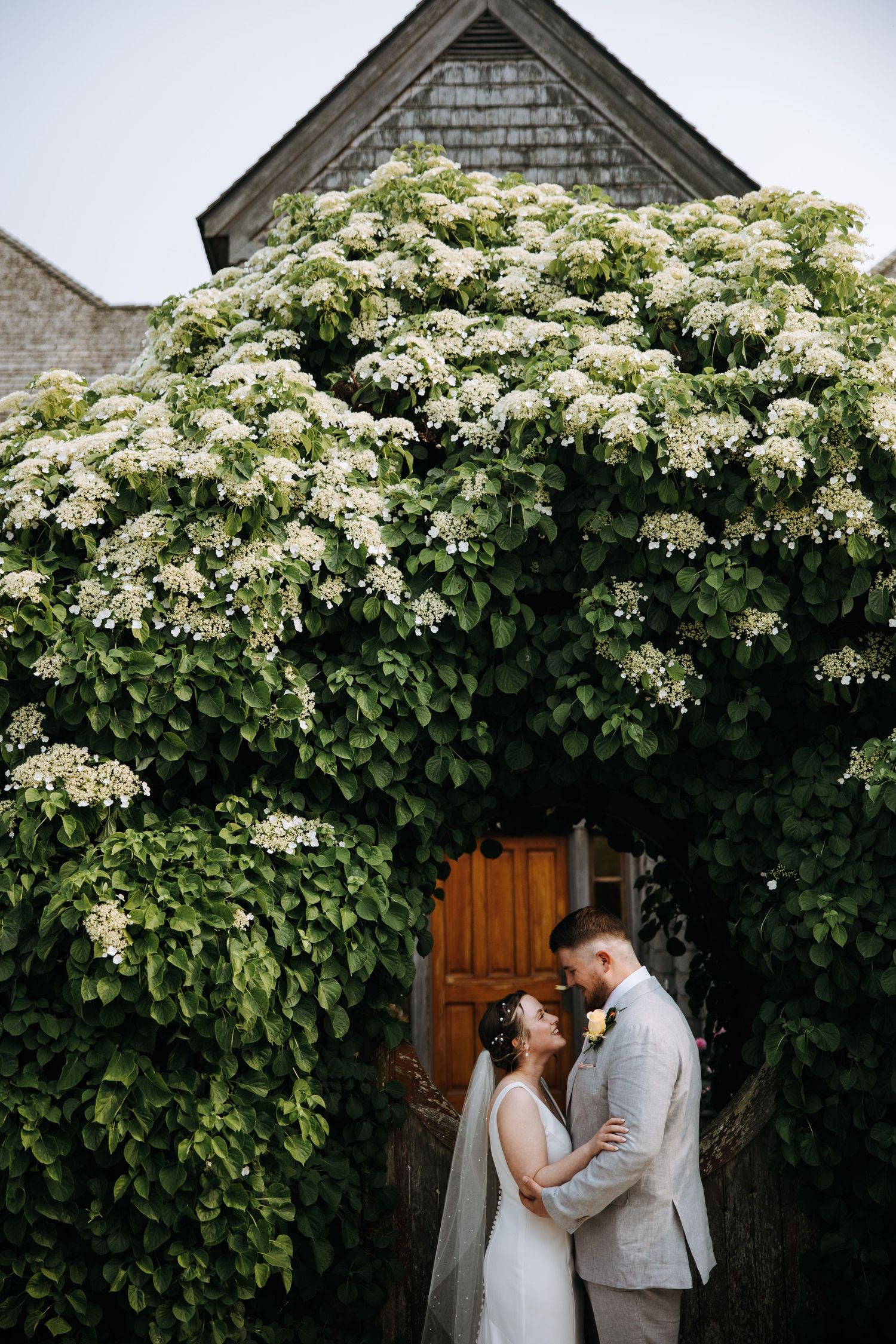 A couple poses beneath a beautiful flowering vine-covered archway.
