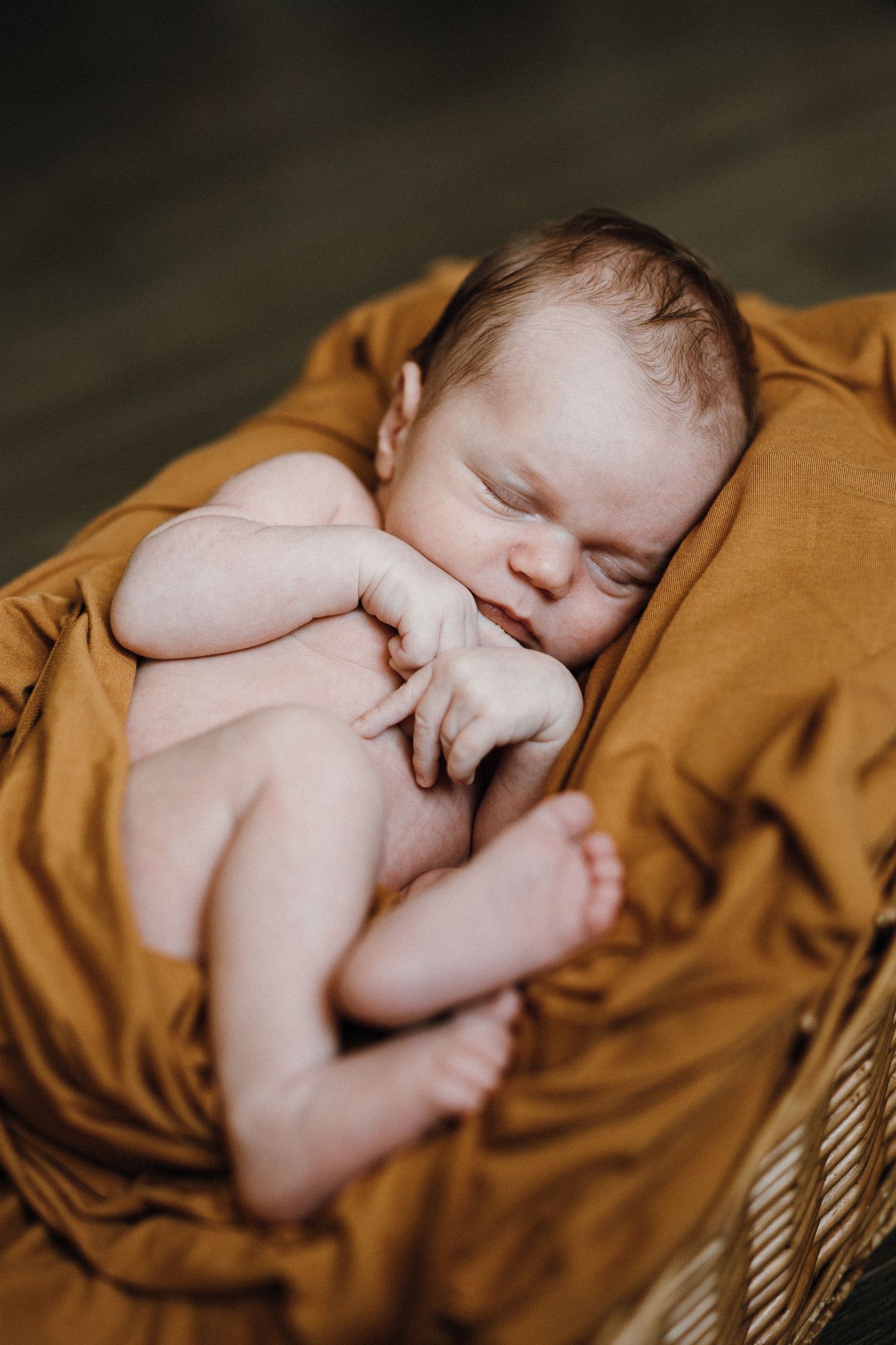 Sleeping newborn baby wrapped in soft golden fabric in artistic portrait series.